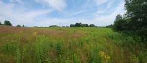 terrain chemin Thomas - juillet 2026