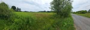 terrain chemin Thomas