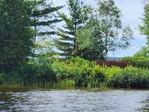 bande riveraine - lac Brompton été 2026