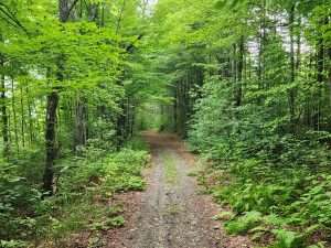 sentier - Stoke août 2026