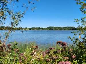 Petit lac Saint-François - sept. 2026