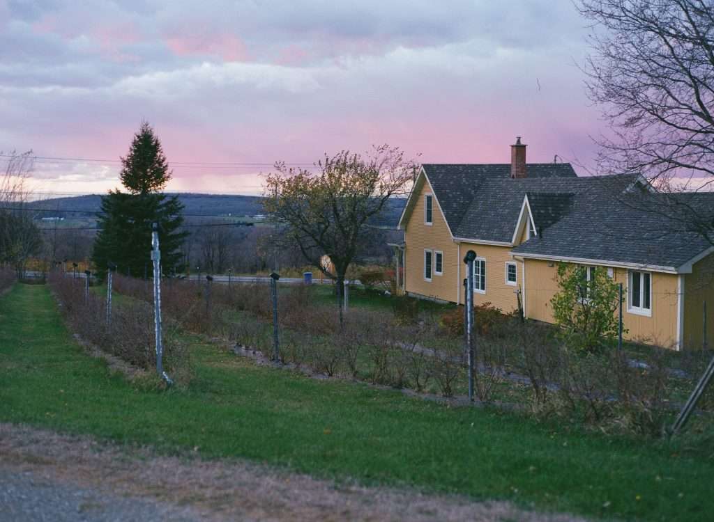 Au Blanc Marronnier