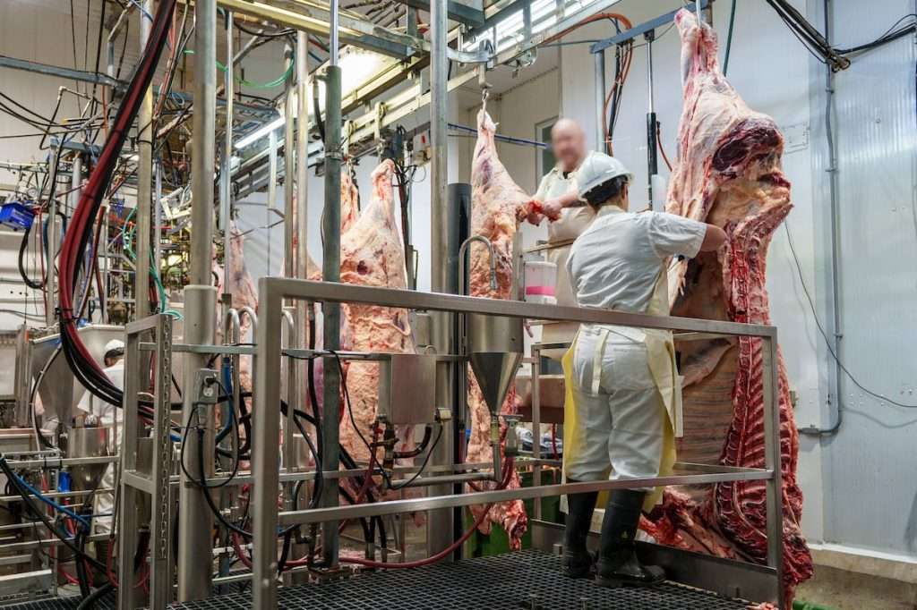 Photo de l'abattoir