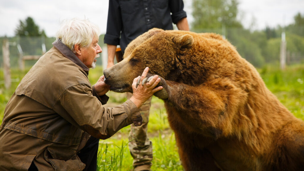 Jean Cardinal et Tango, le grizzly