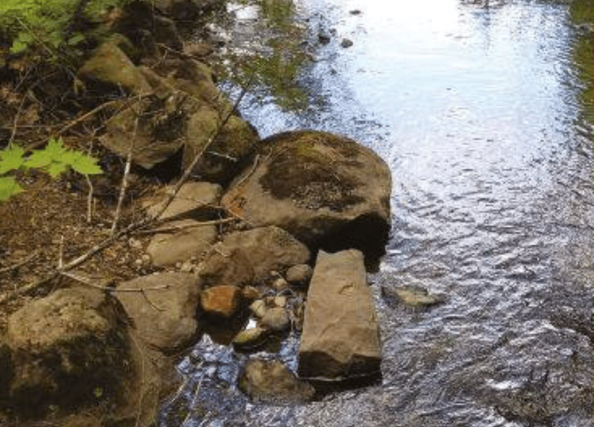 Webinaire : introduction à la gestion des cours d’eau