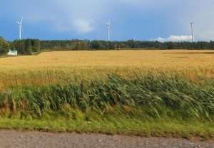 Éoliennes dans un champ de la Gaspésie 2026