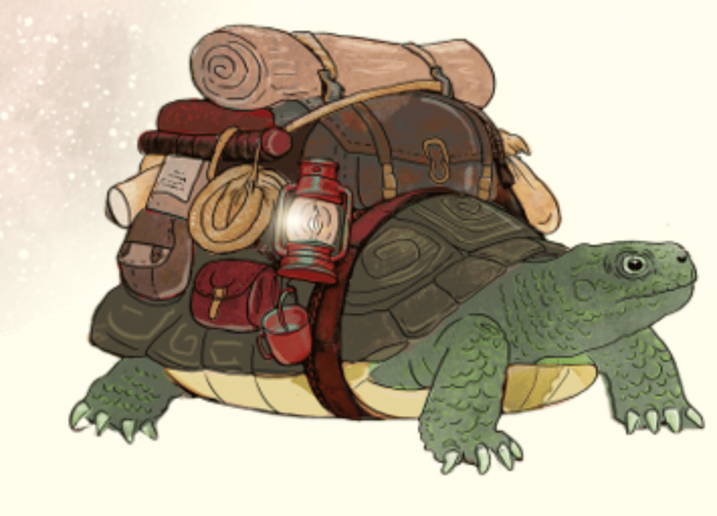 image d'une tortue
