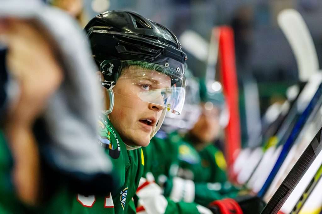 Desjardins – Wild