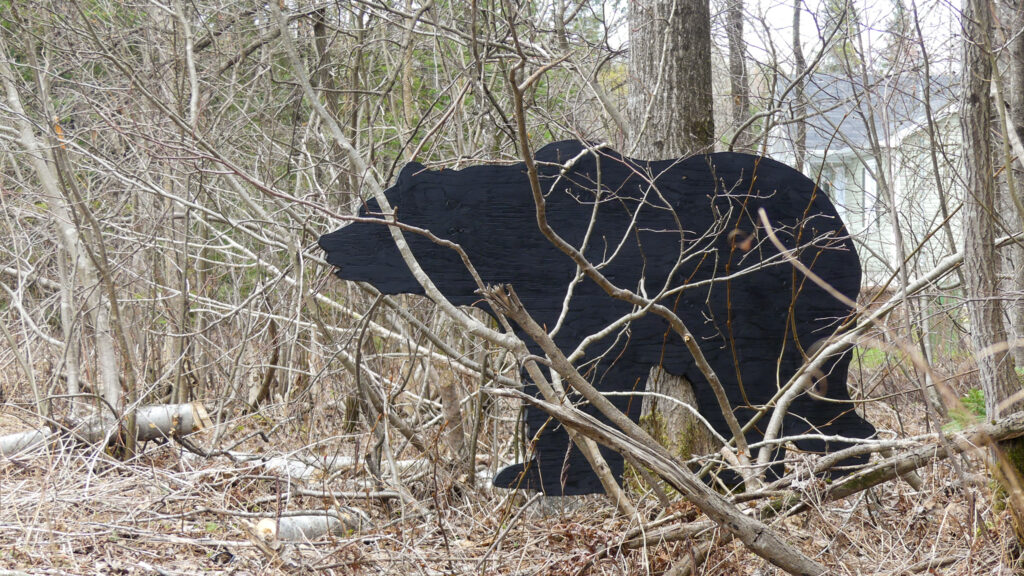 panneau ours
