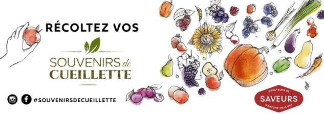 Affiche Souvenis de cueillette