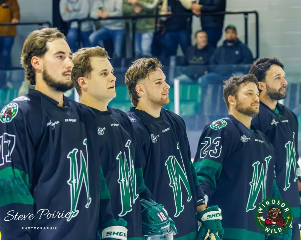 Le Desjardins – Wild : photo des joueurs