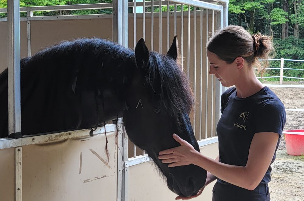 Travailler Avec Les Chevaux le Plus Beau M tier Du Monde Le Val Ouest travailler-avec-les-chevaux-le-plus-beau-m-tier-du-monde-le-val-ouest
