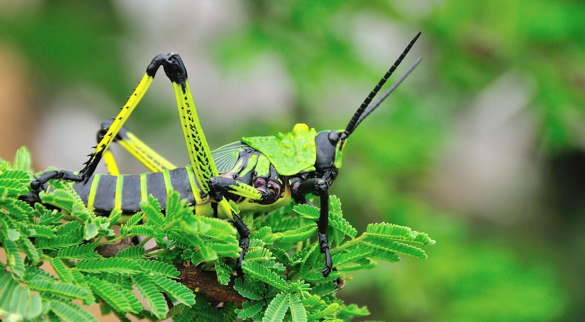 Parlons de biodiversité en milieu agricole