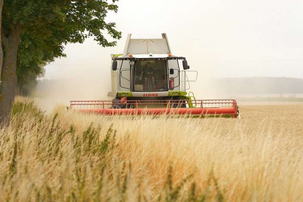 agriculture et la foresterie