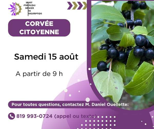Corvée citoyenne