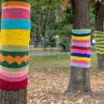 Arbres recouverts de lainages.