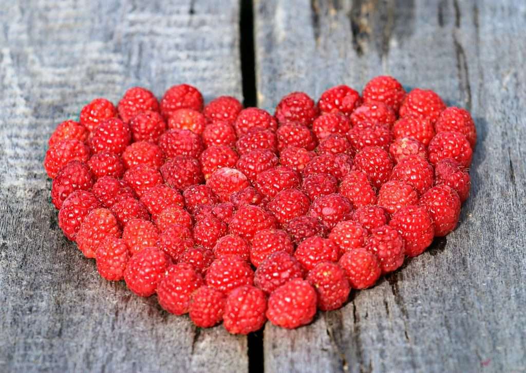 framboises du Québec
