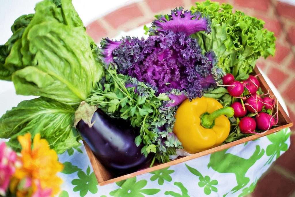 Panier de légumes